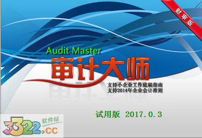 審計(jì)大師v13試用版