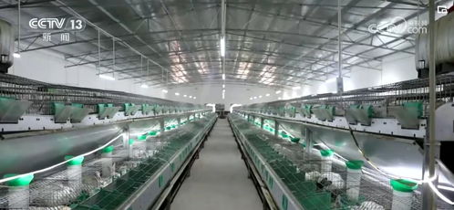 開發衍生農產品 發展創意農業 鄉村振興展現 別樣美